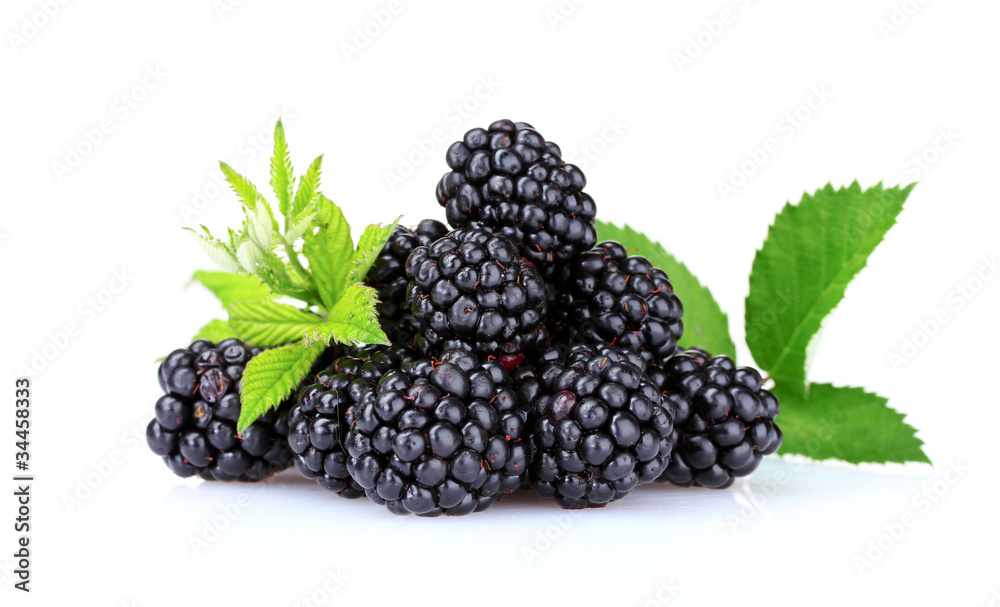 beautiful blackberries isolated on white beautiful blackberries isolated on white