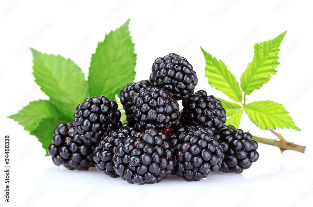 beautiful blackberries isolated on white beautiful blackberries isolated on white