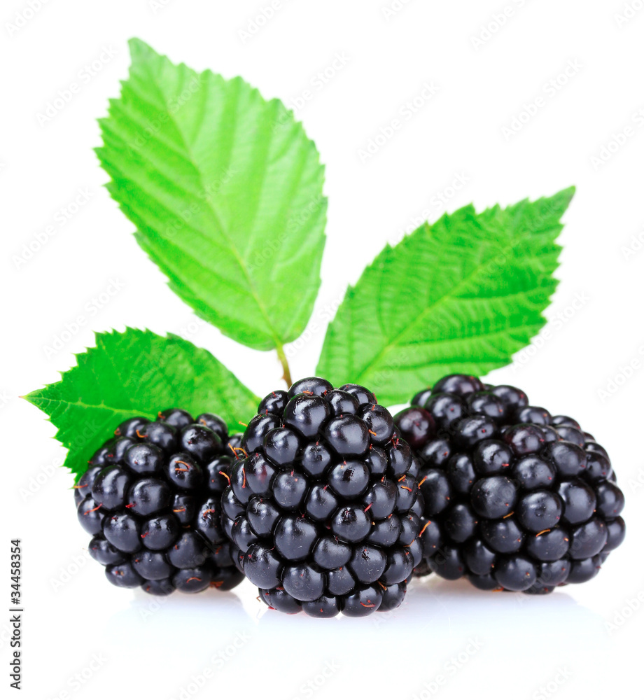beautiful blackberries isolated on white