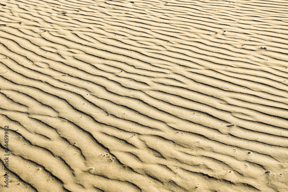 puckered texture of sand beach puckered texture of sand beach