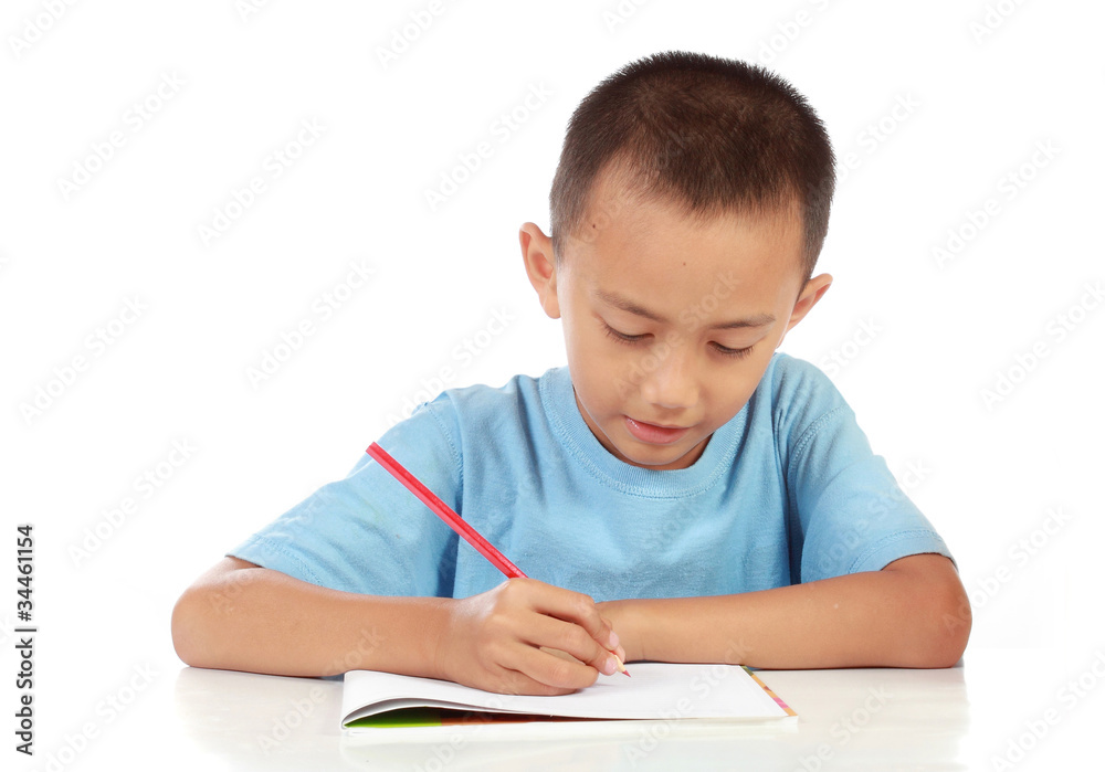 portrait of young boy studying against white portrait of young boy studying against white