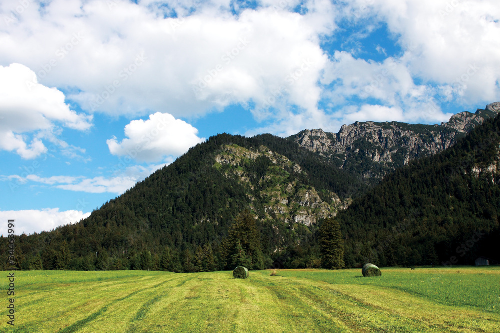 Naklejka premium alpine landscape