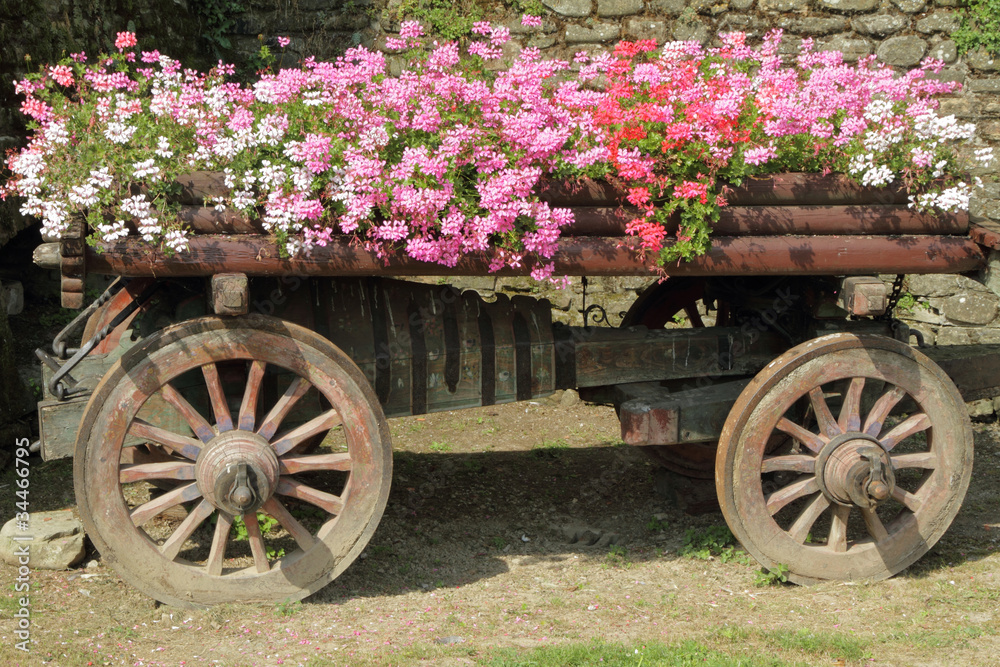 wooden cart full of pink, red and white flowers