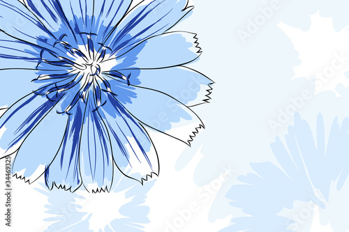 Beautiful flowers