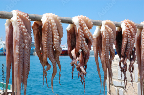 Tela Octopus drying in greece naxos island