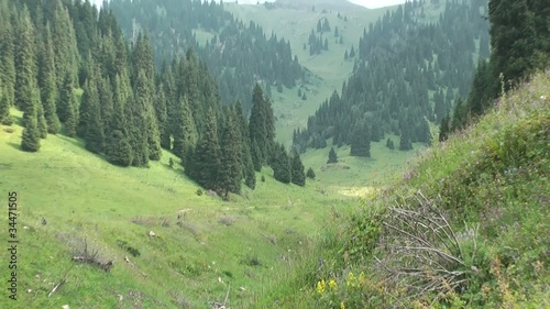 Mountain landscape Trans-Ili Alatau