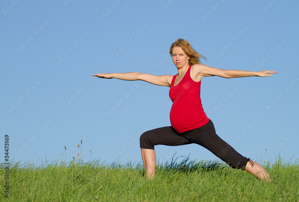 pregnant woman on meadow