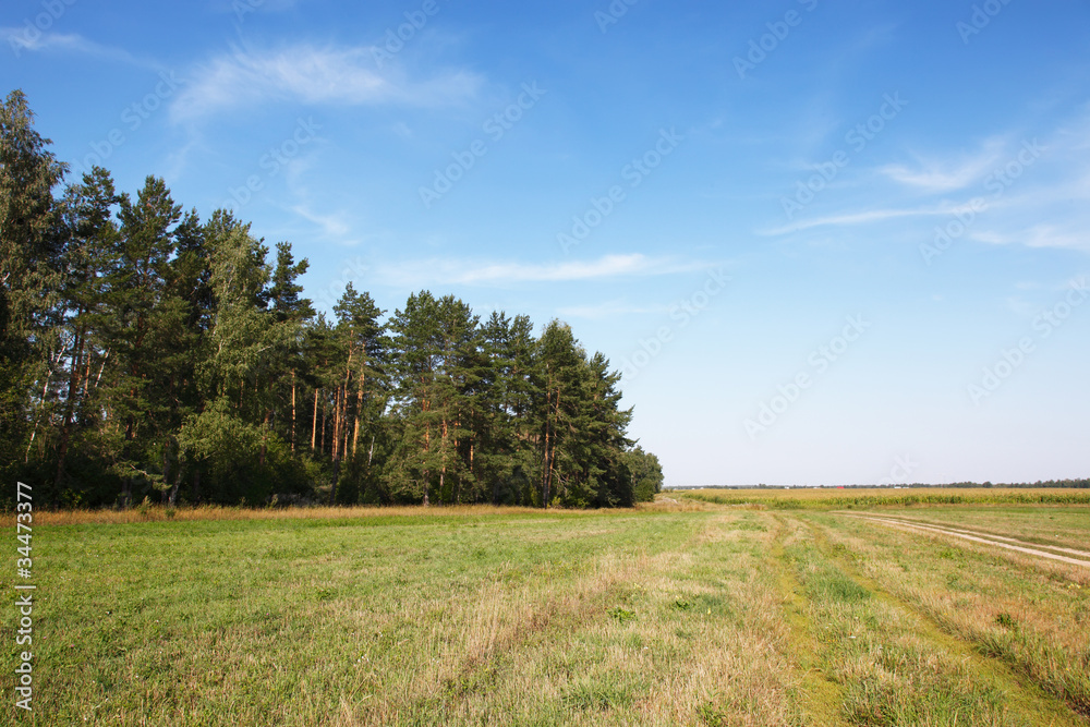 Beautiful view on field and forest Beautiful view on field and forest