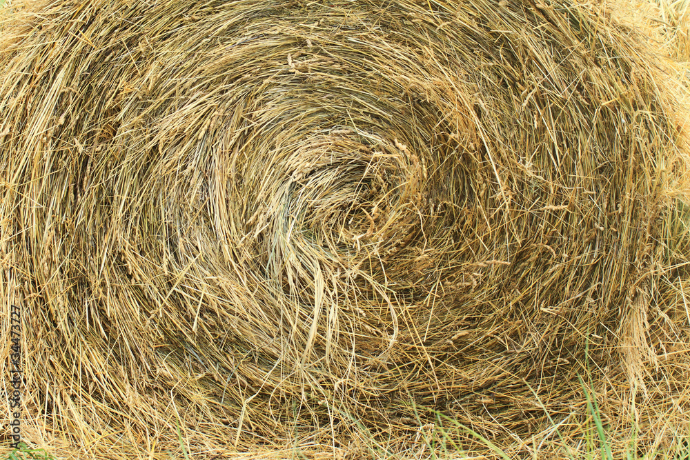 hay bales in a field ( detail ) hay bales in a field ( detail )