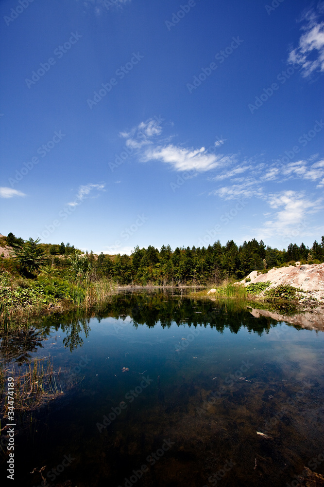 beautiful lake on a hillside of pine trees