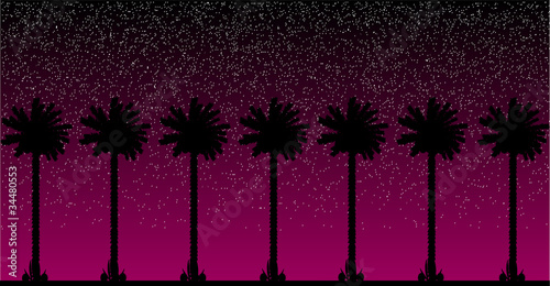 Palm trees at night