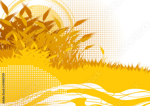 autumn background with wheat