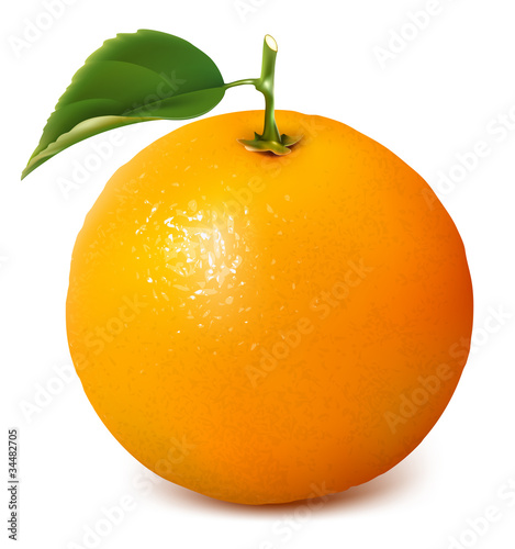 Vector fresh ripe orange with leaf.