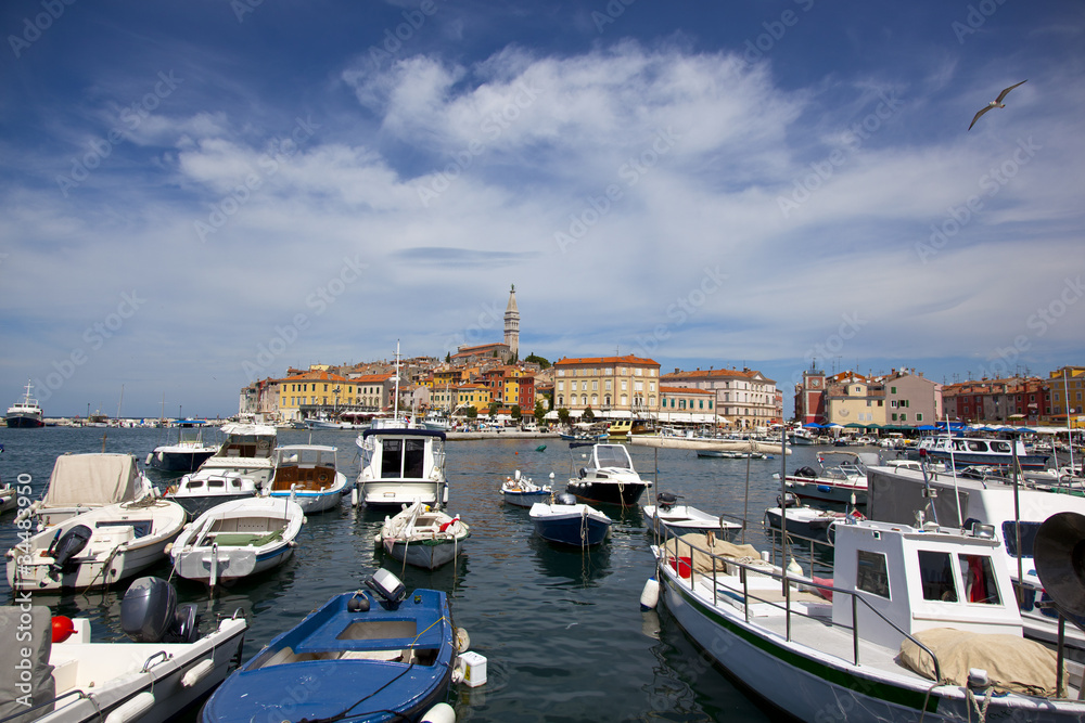 Fototapeta premium the harbour of rovinj, croatia