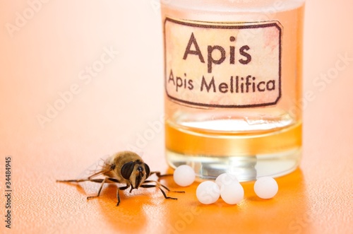 Apis Mellifica homeopathic pills, poison and bee photo