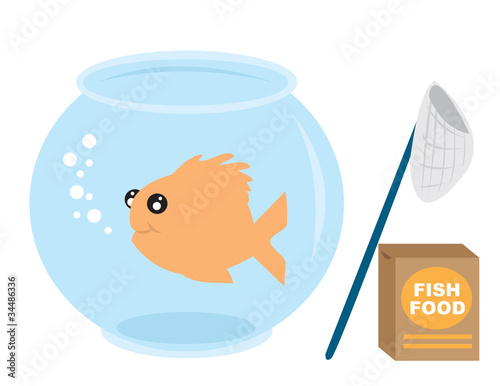 Goldfish in bowl