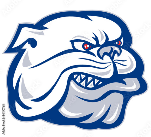 mongrel bulldog dog ,ascot head