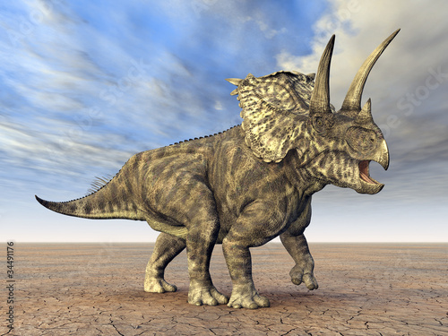 Fototapeta Naklejka Na Ścianę i Meble -  Pentaceratops