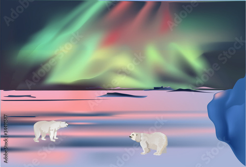 polar bears under aurora