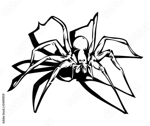 Spider (vector included) photo
