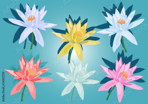 six lily flowers on blue