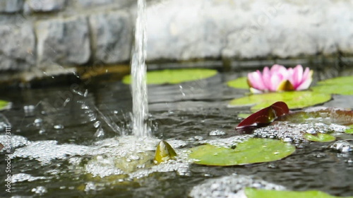 Chute d'eau,  bassin de jardin