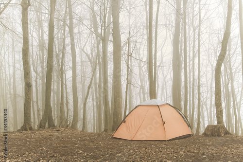 tourist tent stands in the misty forest