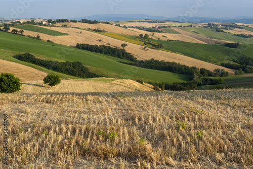 Marches  Italy  - Landscape at summer