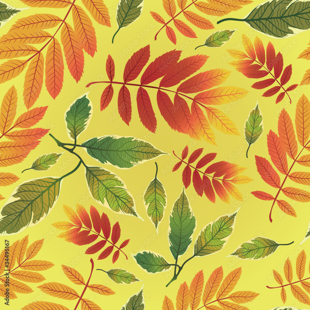Seamless autumn leaves background. Thanksgiving