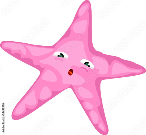 starfish