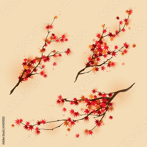 Red maple branches in autumn