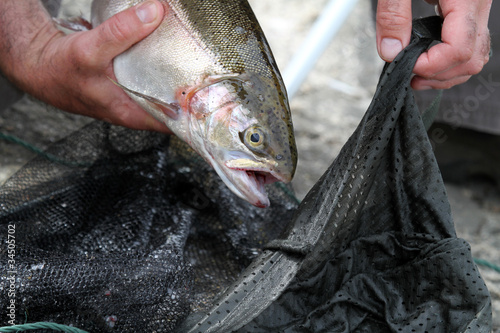 Fishing For Trout photo