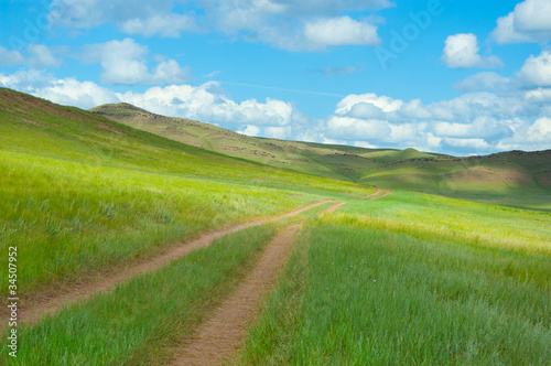 Beautiful summer landscape