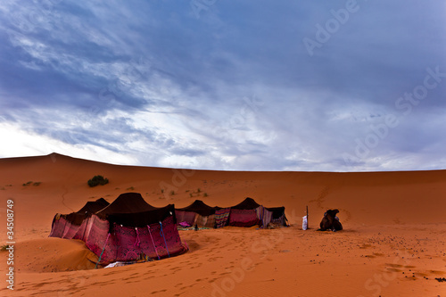 Bedouin tents in the Sahara Desert