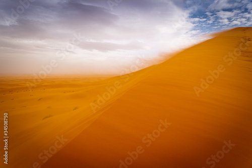 Wind storm in the Sahara Desert