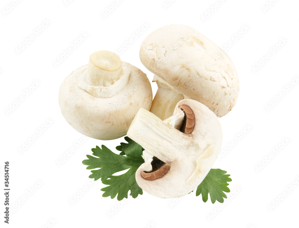 Champignon mushrooms with parsley isolated on white background Champignon mushrooms with parsley isolated on white background