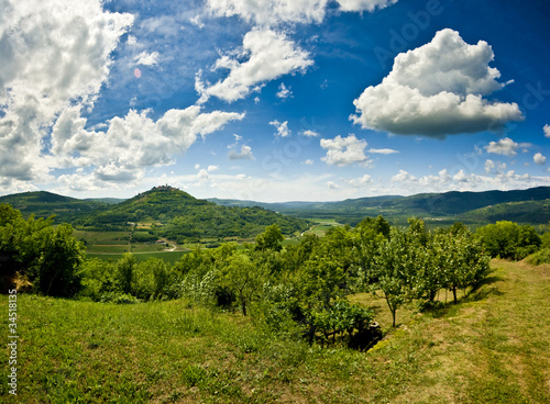 Idyllic landscape of Motovun area
