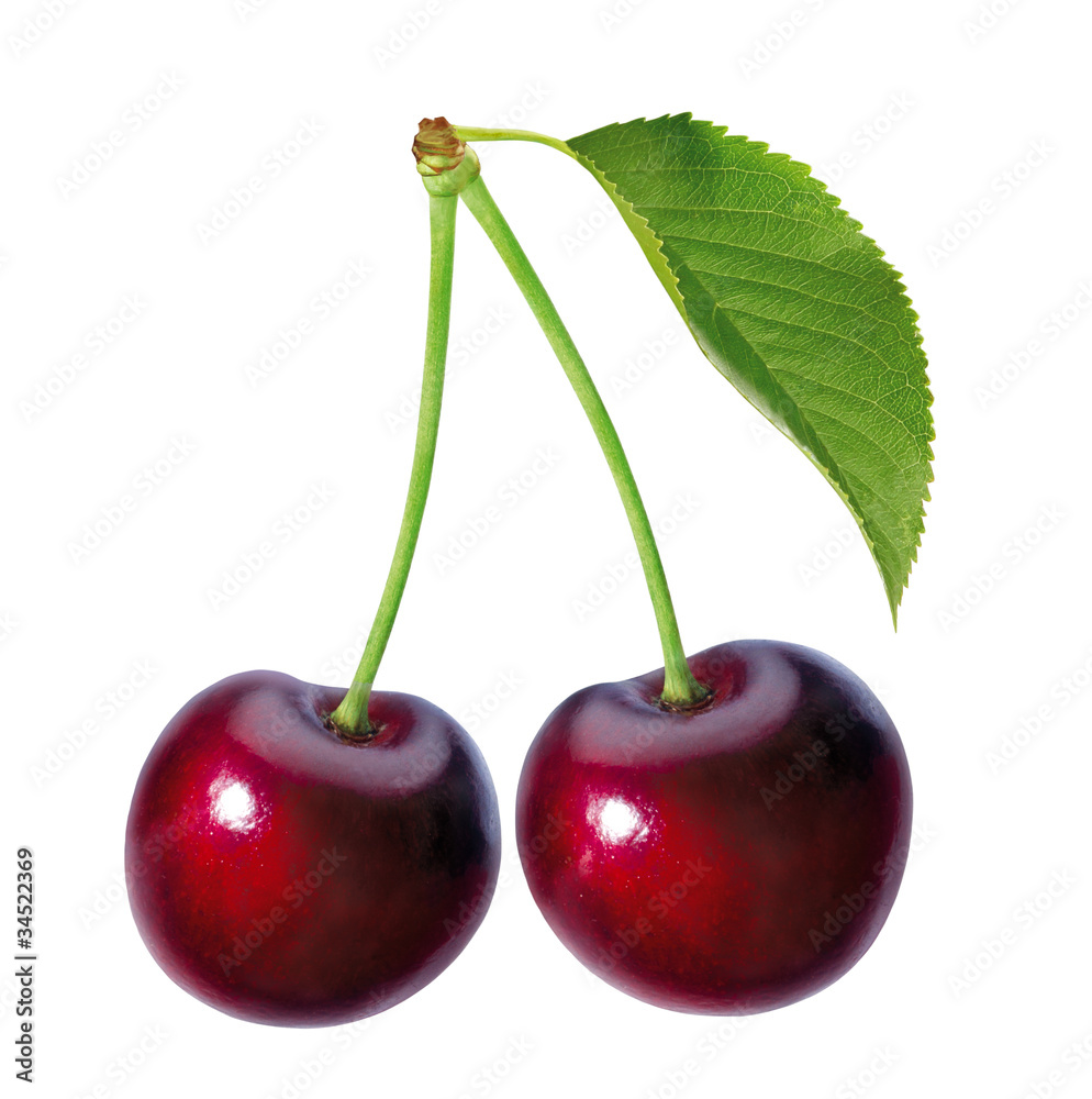 image to crop