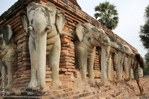 elephant head temple sukhothai thailand