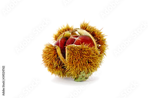 Chestnuts