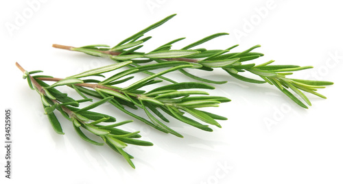 Twigs of rosemary