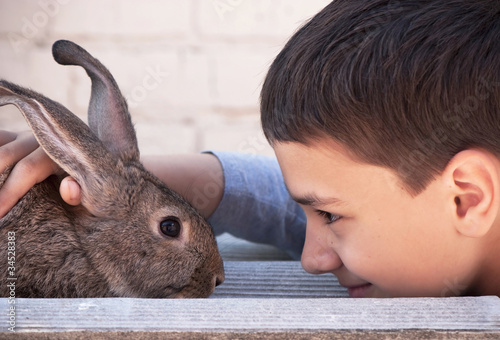 boy holds caresses a gray rabbit inear the house