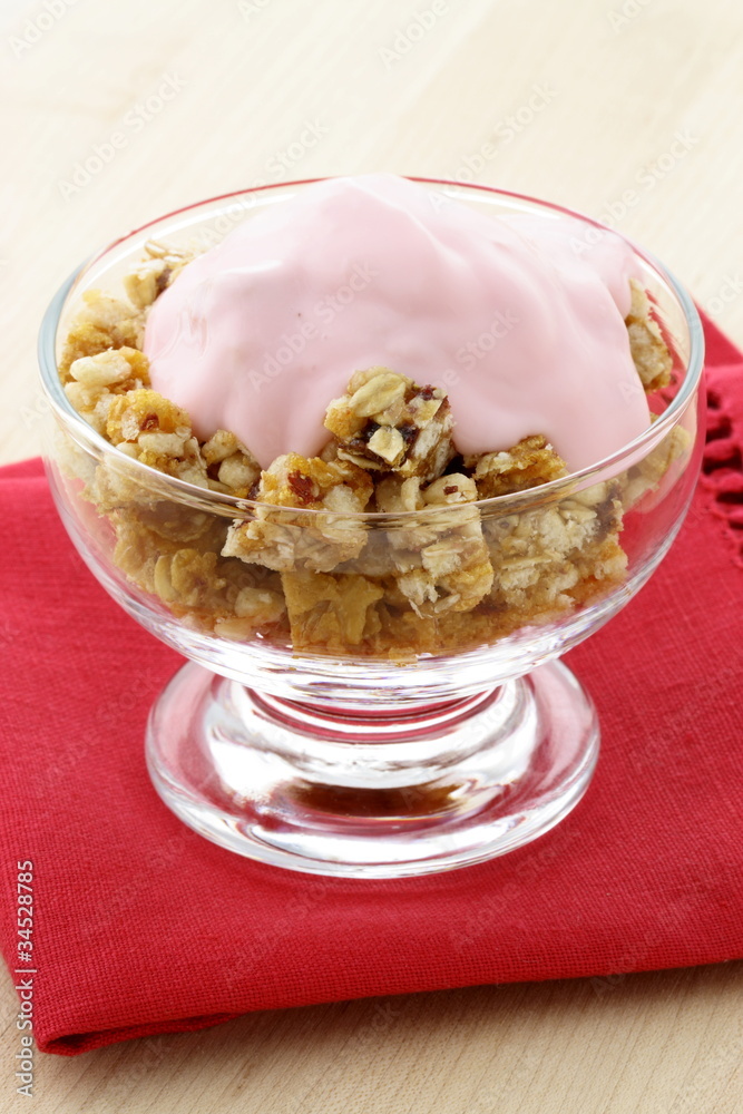 delicious and healthy granola delicious and healthy granola