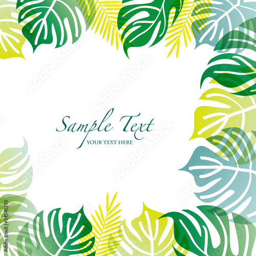summer background with monstera
