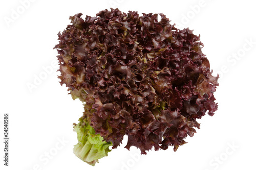 red lettuce