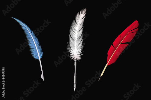 feathers collection