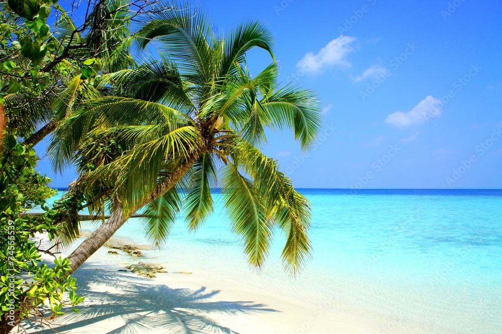 Φωτογραφία Maldives Adaaran Club Island