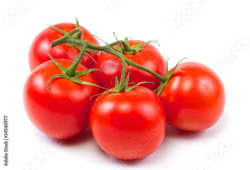 branch of tomato isolated over white background