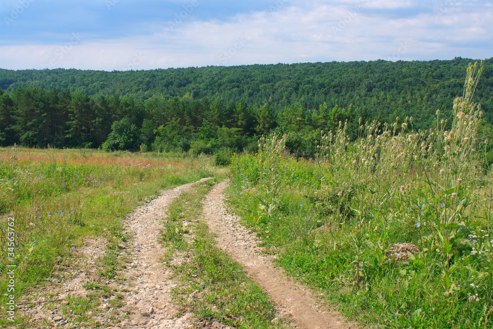 Summer landscape with green meadow, forest and blue sky