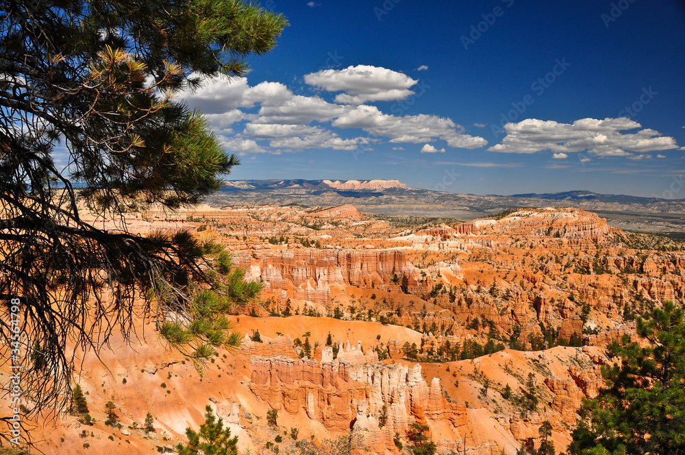 Bryce canyon landscape view